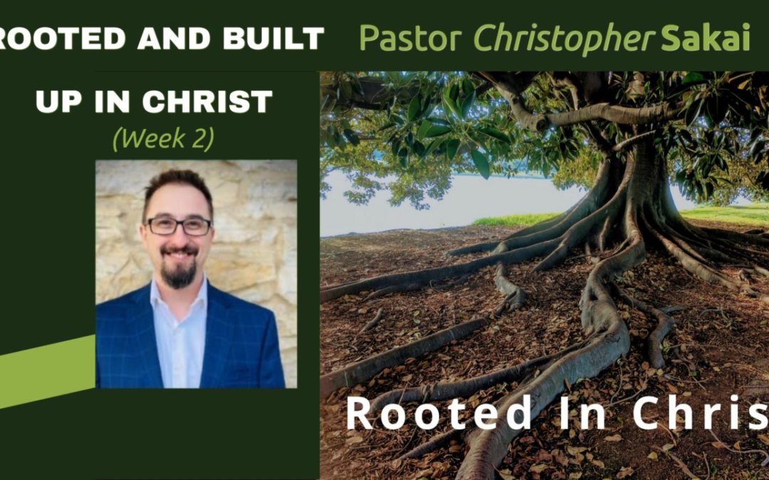 Rooted in Christ (Week 2)